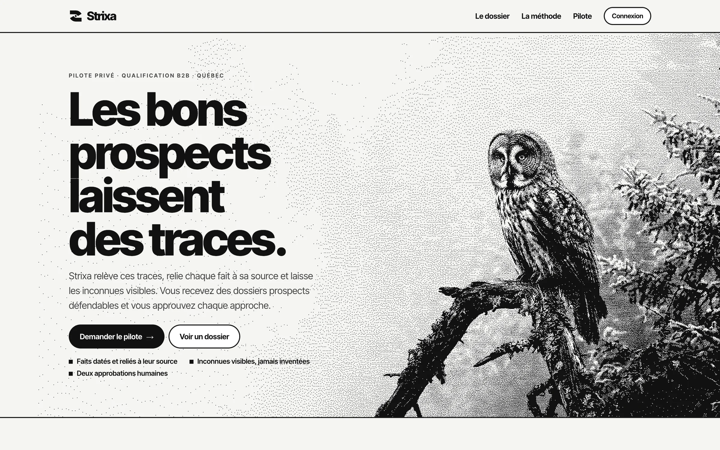 Strixa home page: “Les bons prospects laissent des traces.” next to a stippled owl on a branch.